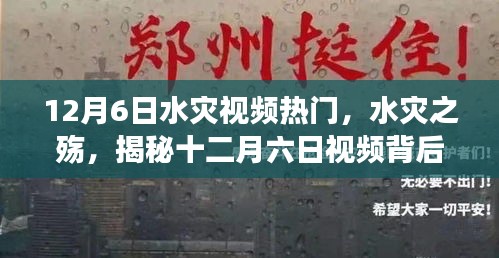 揭秘十二月六日水灾视频背后的故事与伤痛，水灾之殇引发关注热议