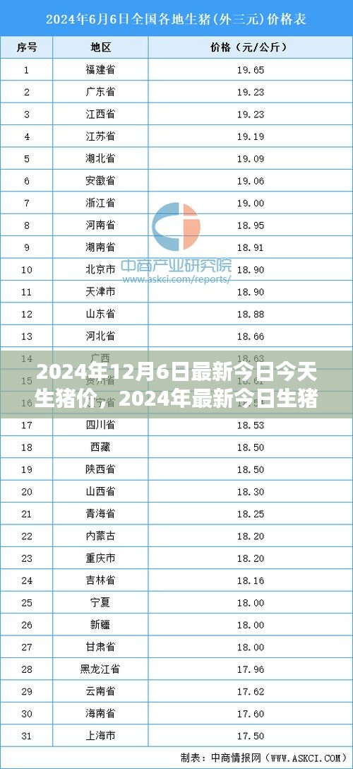 2024年最新今日生猪价格解析，入门指南与查询步骤