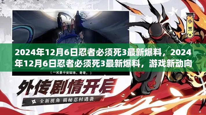 忍者必须死3最新爆料，游戏新动向与未来展望（2024年12月6日）