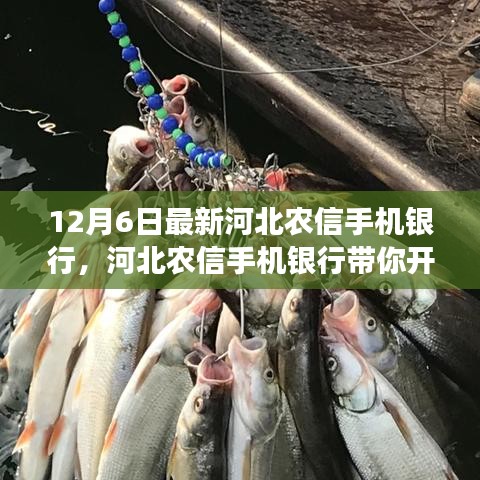 河北农信手机银行，心灵之旅启程，探索自然美景与内心艺术之旅