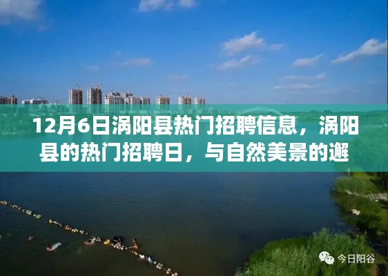 涡阳县热门招聘日，与自然美景同行，寻找内心的宁静平和之旅