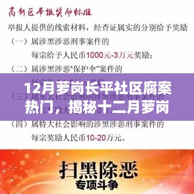 揭秘十二月萝岗长平社区腐败热点，深度剖析背后的原因与案例，社区腐案备受关注