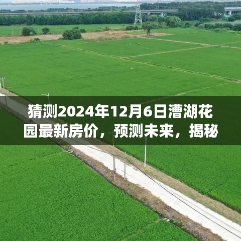 揭秘，漕湖花园未来房价走势，预测2024年最新房价趋势分析