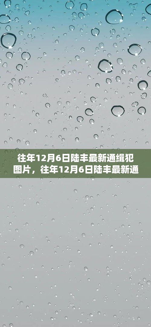 往年12月6日陆丰最新通缉犯图片及案件深度解析