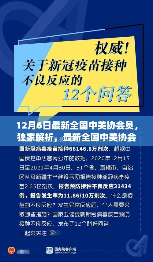 独家解析，最新全国中美协会员身份标识解读与独家报道