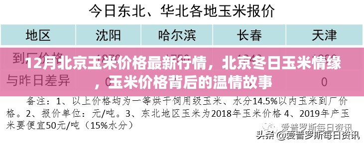 北京冬季玉米行情揭秘，价格背后的温情故事