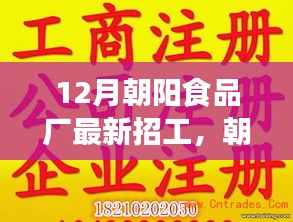 12月朝阳食品厂最新招工，朝阳食品厂12月最新招工详细步骤指南——如何顺利应聘成为食品制造专家