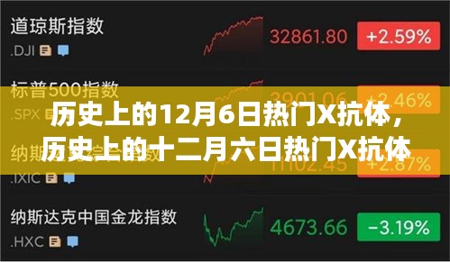 十二月六日热门X抗体深度解析与多方观点碰撞，历史与个人立场探讨
