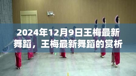 王梅最新舞蹈赏析与观点探讨，2024年12月9日精彩瞬间回顾