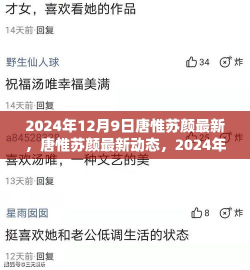 唐惟苏颜最新动态深度解析，2024年12月9日最新消息