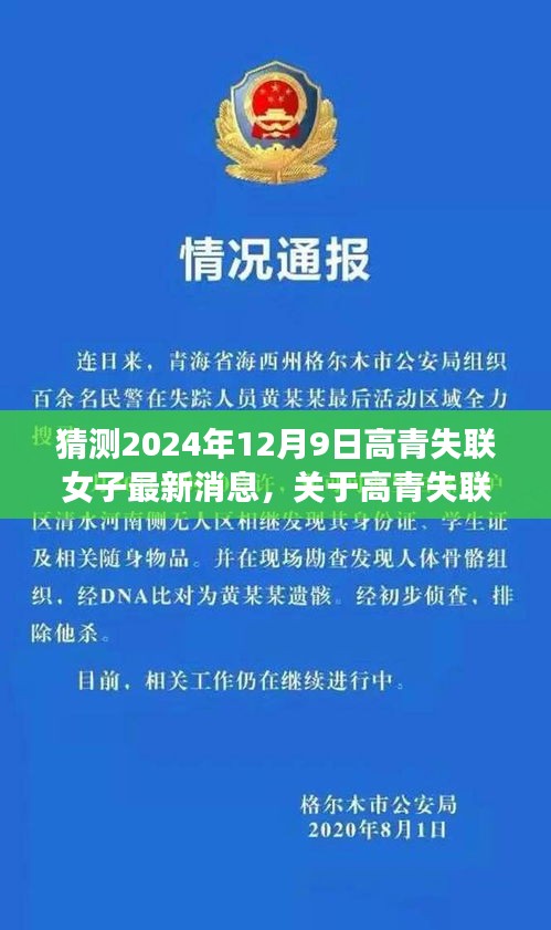 关于高青失联女子最新情况的猜测与分析，最新进展与未来预测（2024年视角）