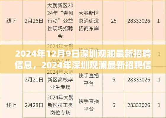 2024年深圳观澜最新招聘信息概览，职场人的新选择