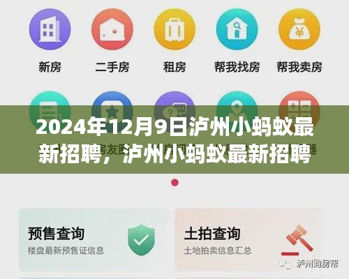 泸州小蚂蚁最新招聘现象观察与思考，职场趋势与启示（以2024年为例）