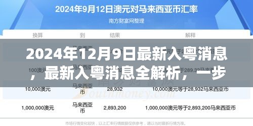 2024年最新入粤消息全解析，掌握必备技能与知识的步骤