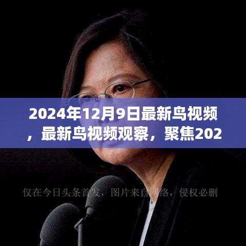 2024年12月9日最新鸟视频观察与分析，聚焦最新发现与我的观点