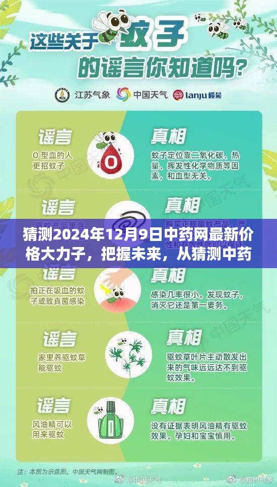 中药网最新价格预测，大力子励志之旅，展望未来中药市场动向