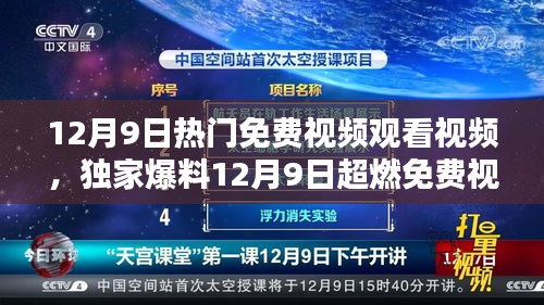 独家爆料，12月9日热门免费视频盛宴，不容错过的精彩瞬间