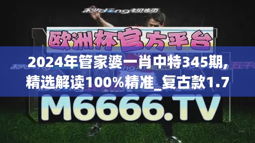 2024年管家婆一肖中特345期,精选解读100%精准_复古款1.728