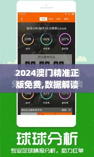 2024澳门精准正版免费,数据解读说明_专属款4.139