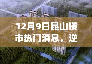 昆山楼市最新动态，逆风翱翔，共成长，探寻12月9日的希望与变化