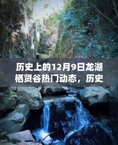 揭秘历史上的龙湖栖贤谷热门动态，12月9日回顾与展望