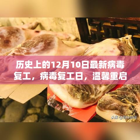 病毒复工日，十二月十日的历史回顾与温馨重启