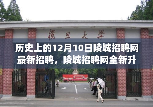 陵城招聘网全新升级，科技引领招聘变革，刷新职业未来在12月10日开启