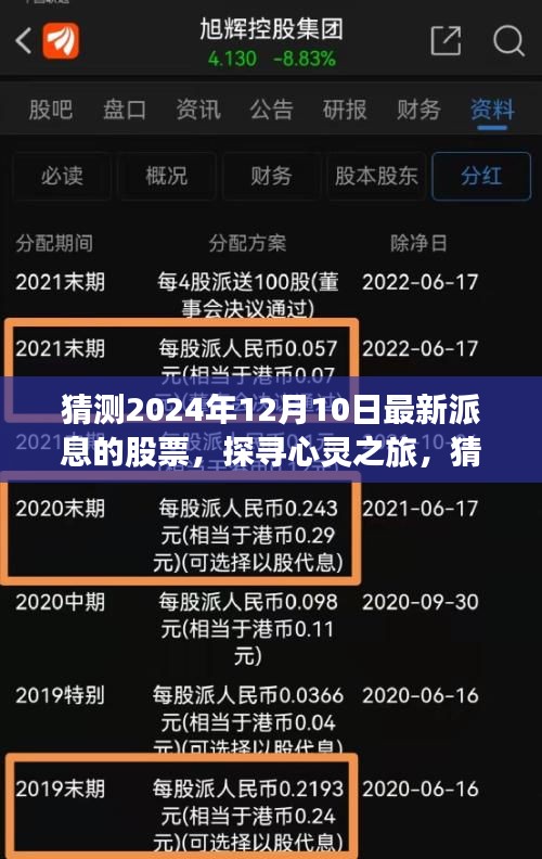 探寻心灵之旅，揭秘2024年最新派息股票引领的投资方向！