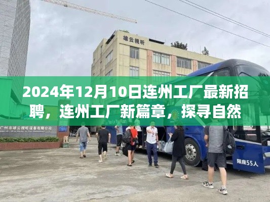 连州工厂新篇章，招聘启程，探寻自然美景与内心平静之旅