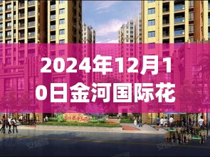 金河国际花苑温馨日常，2024年12月10日的最新阳光故事