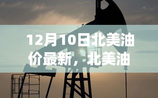 12月10日北美油价震荡的最新动态与深远影响分析