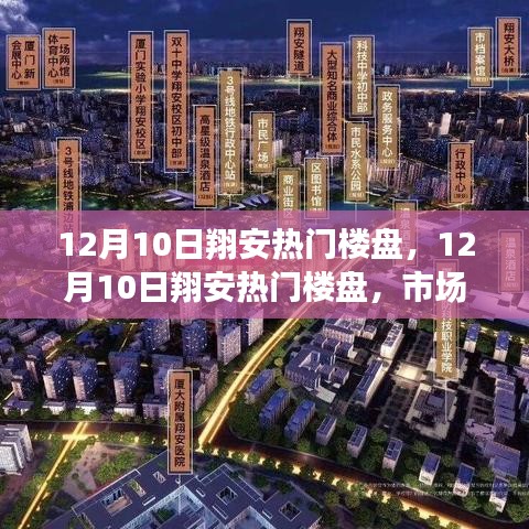 揭秘市场热度背后的翔安热门楼盘深度解析与个人观点