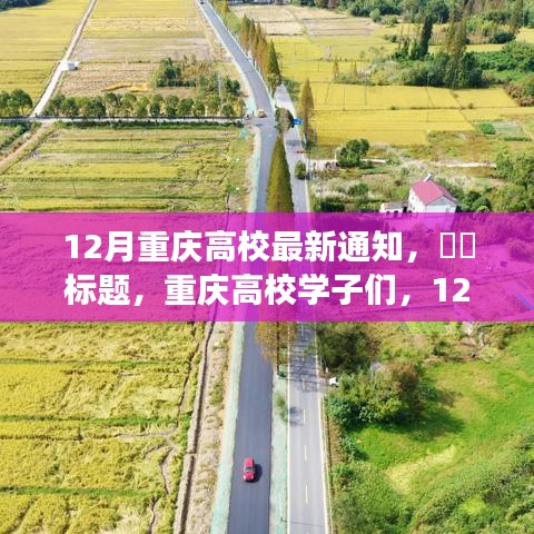 重庆高校学子们迎来12月新篇章，自然美景之旅启幕！