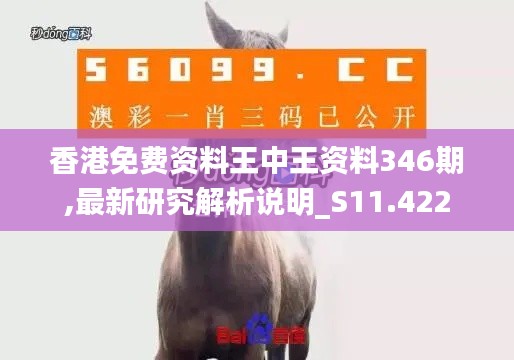 香港免费资料王中王资料346期,最新研究解析说明_S11.422