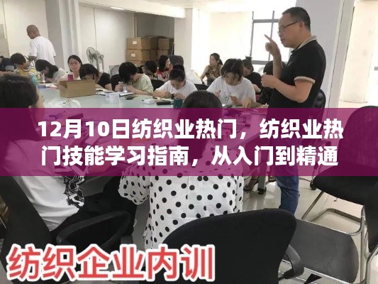 12月10日纺织业热门技能学习指南，从入门到精通，初学者与进阶用户必读指南