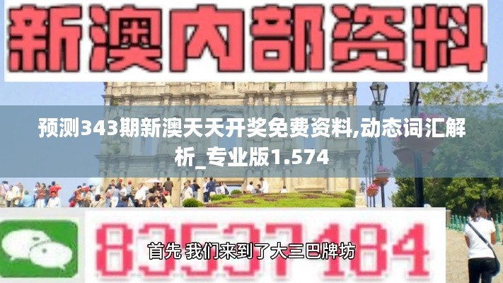 预测343期新澳天天开奖免费资料,动态词汇解析_专业版1.574