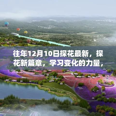 探花新篇章，自信成长旋律与变化的力量揭秘学习之道