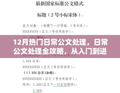 日常公文处理全攻略，从入门到进阶的实用指南（12月版）