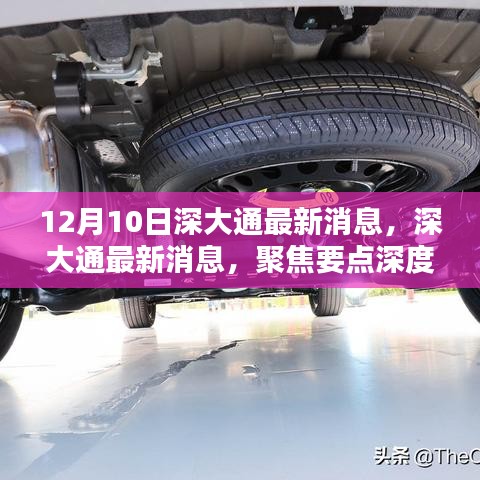 深大通最新动态聚焦，深度解析要点（12月10日版）