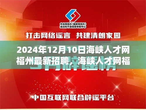 海峡人才网福州最新招聘动态，揭秘十二月人才市场的机遇与挑战