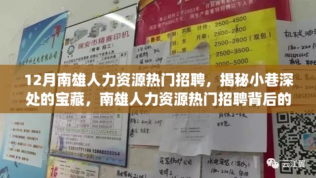 揭秘南雄人力资源招聘背后的特色小店故事，小巷深处的宝藏职位招聘季