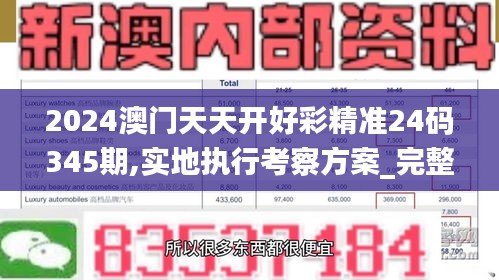 2024澳门天天开好彩精准24码345期,实地执行考察方案_完整版3.398