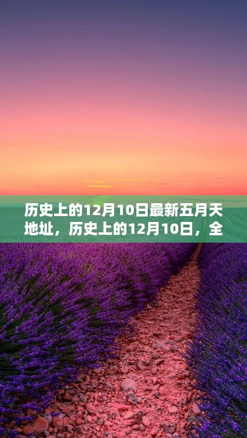 历史上的12月10日与全新五月天地址深度测评揭秘