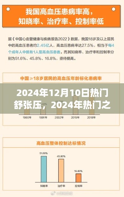 2024年热门舒张压智能健康设备深度评测，健康之选，引领未来