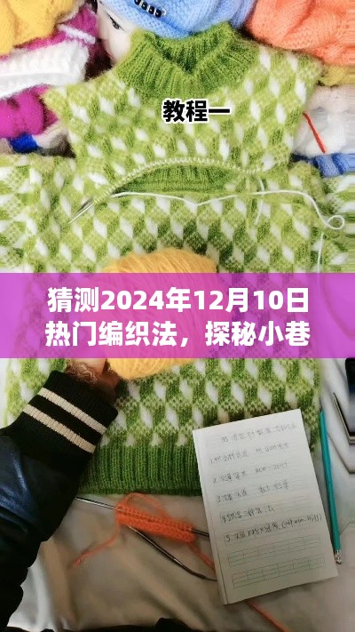 探秘小巷深处的编织秘境，预测2024年热门编织风尚与编织法揭秘