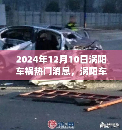 2024年涡阳车祸事件深度解析，聚焦事故争议与最新消息