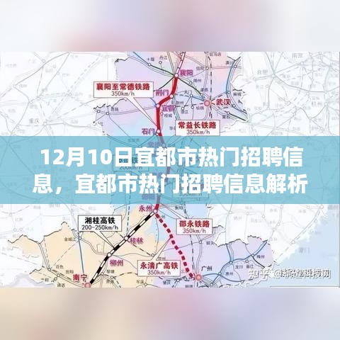 宜都市最新热门招聘信息解析，聚焦最新职业机遇