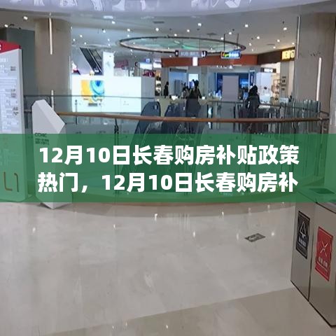 长春购房补贴政策引领绿色安居之旅