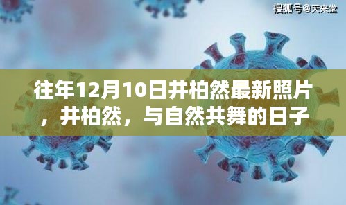 井柏然最新照片，与自然共舞的日子，探寻内心宁静与力量的源泉