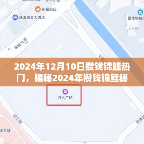 揭秘攒钱锦鲤秘籍，开启财富自由之门，2024年12月10日热门指南